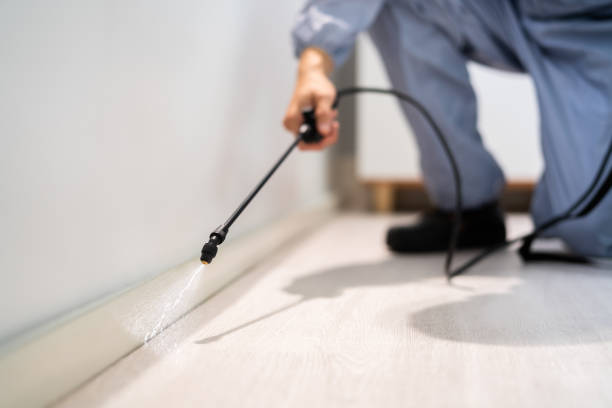 Licensed Termite Control service in Clinch County County, GA - Nex Pest Control