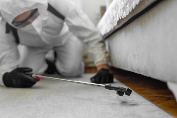 Professional Termite Control technician working in Clinch County County, GA